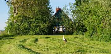Фотографии Загородные дома Nad Wierzbowym Stawem г. Świerznica (Польша) №4 Фото Загородные дома Nad Wierzbowym Stawem г. Świerznica 4